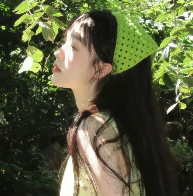 官方机密